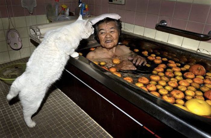 Pictures You Don't Want to See (47 pics)
