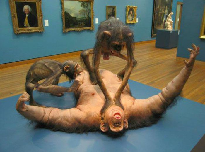 Pictures You Don't Want to See (47 pics)