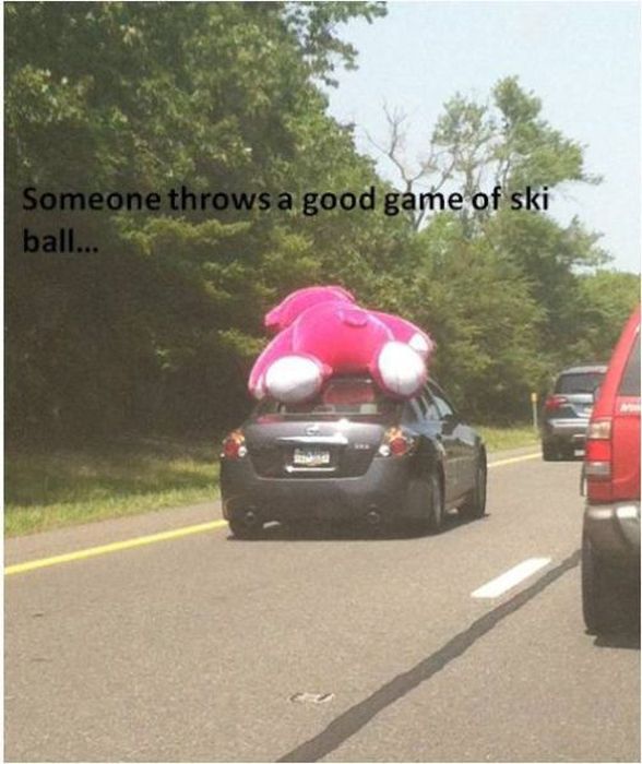 Pictures You Don't Want to See (47 pics)