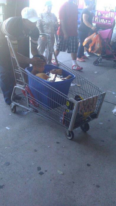 Pictures You Don't Want to See (47 pics)