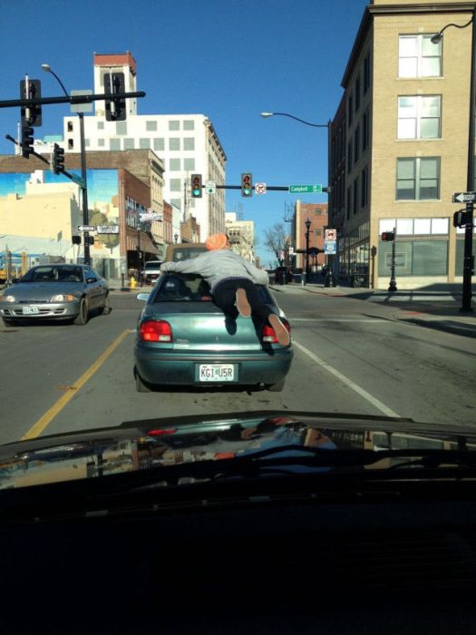 Pictures You Don't Want to See (47 pics)