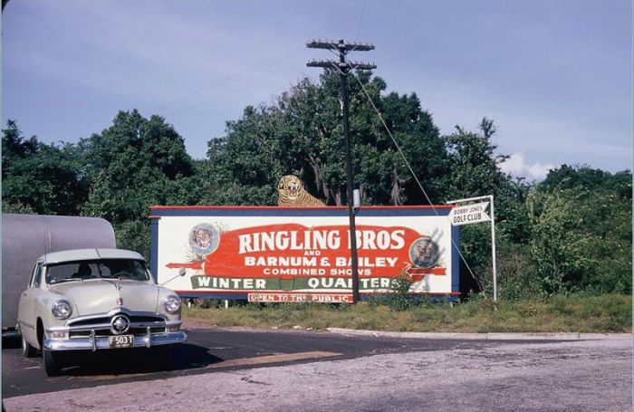 United States in the '50s (83 pics)