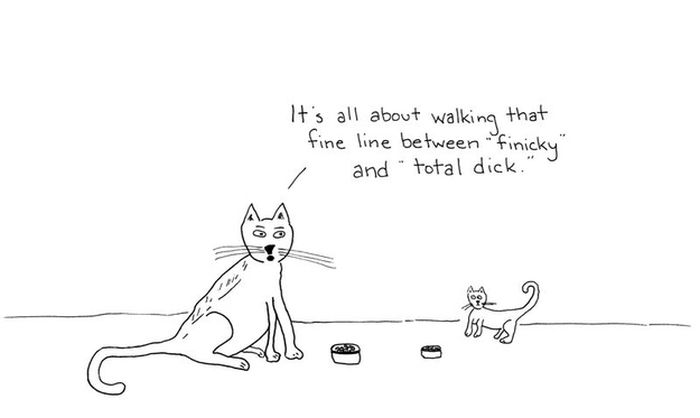 Cat Comics (33 pics)