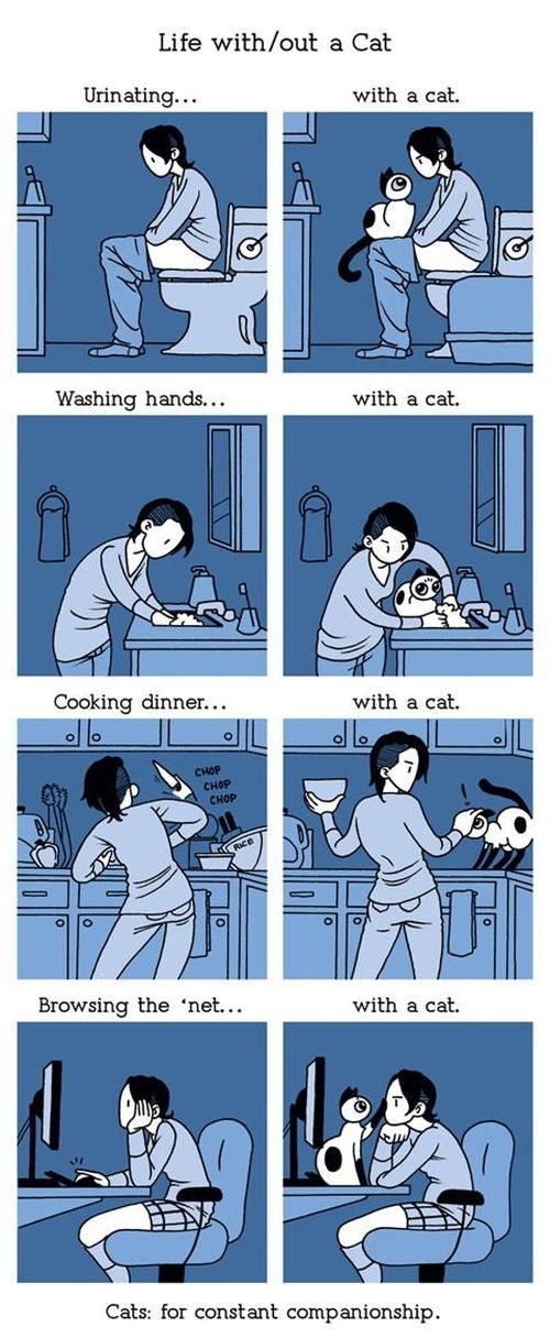 Cat Comics (33 pics)