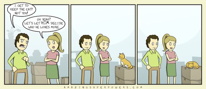 Cat Comics (33 pics)