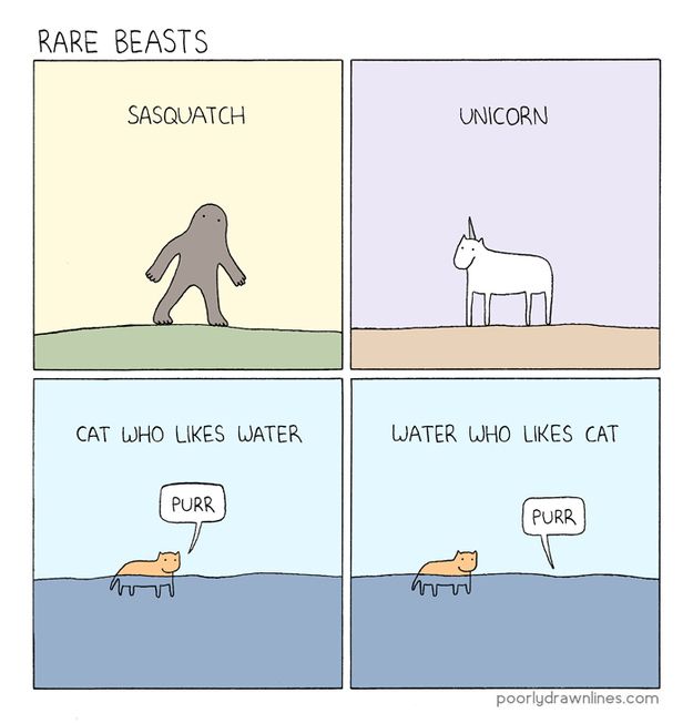 Cat Comics (33 pics)