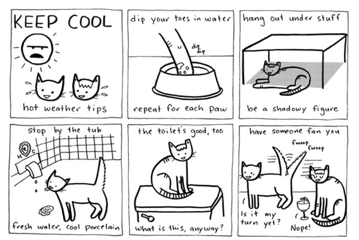 Cat Comics (33 pics)