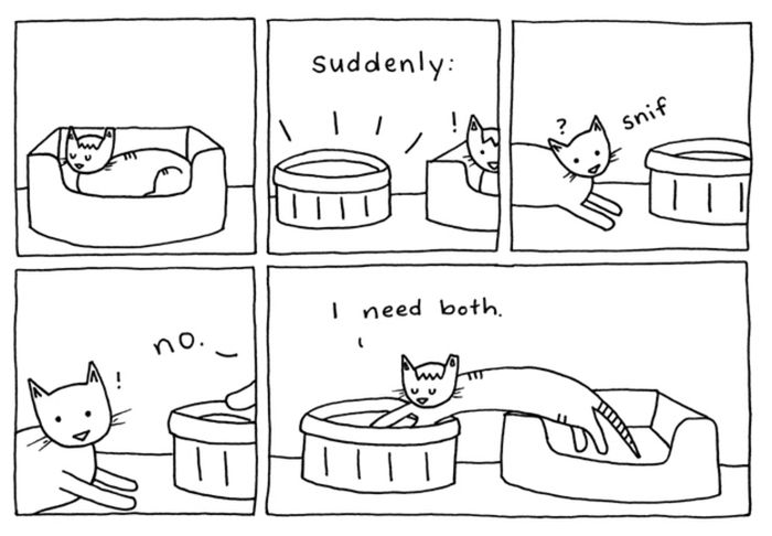 Cat Comics (33 pics)