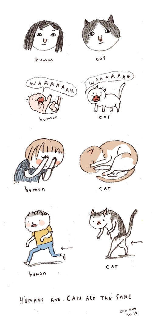 Cat Comics (33 pics)