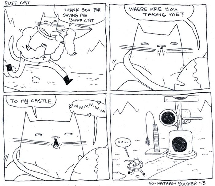 Cat Comics (33 pics)