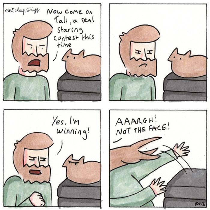 Cat Comics (33 pics)