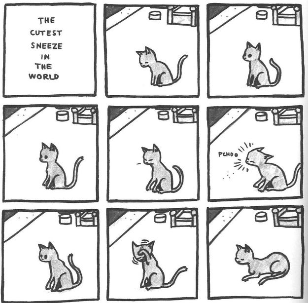 Cat Comics (33 pics)