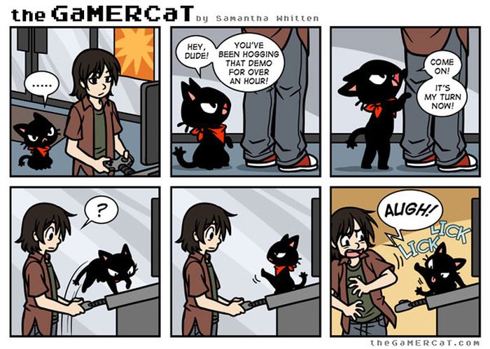 Cat Comics (33 pics)