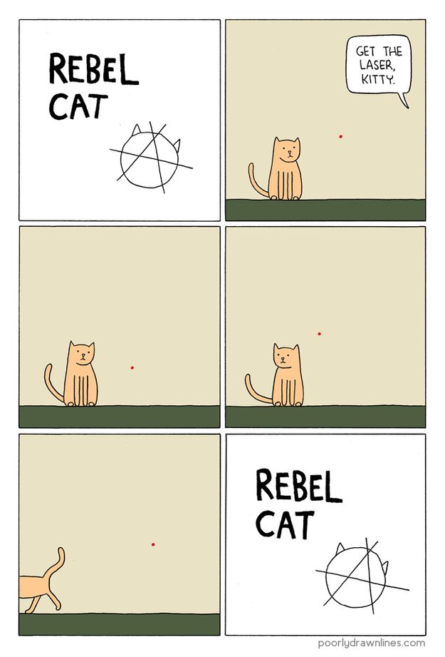 Cat Comics (33 pics)