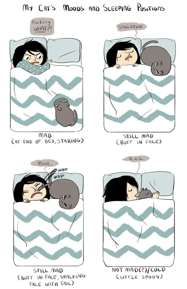 Cat Comics (33 pics)