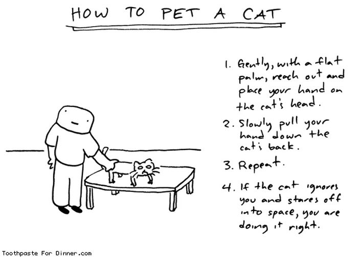 Cat Comics (33 pics)