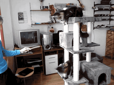 Acid Gifdump, March 29, 2013 (25 gifs)
