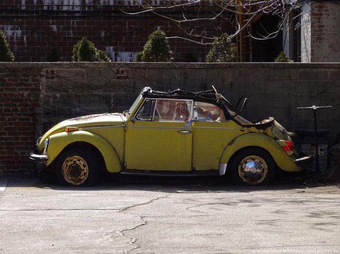 Vintage Cars in New York (63 pics)