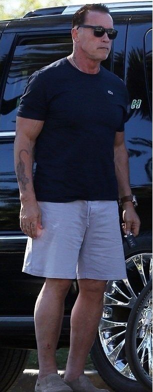 Arnold Schwarzenegger is Back at Gym (3 pics)