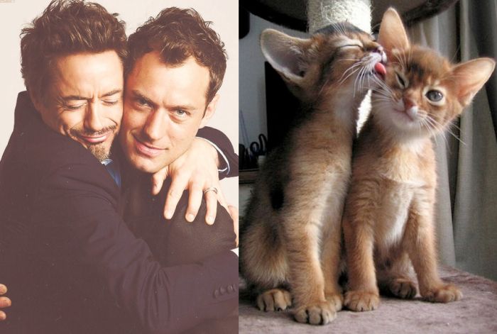 Hot Men And Their Feline Counterparts (67 pics)