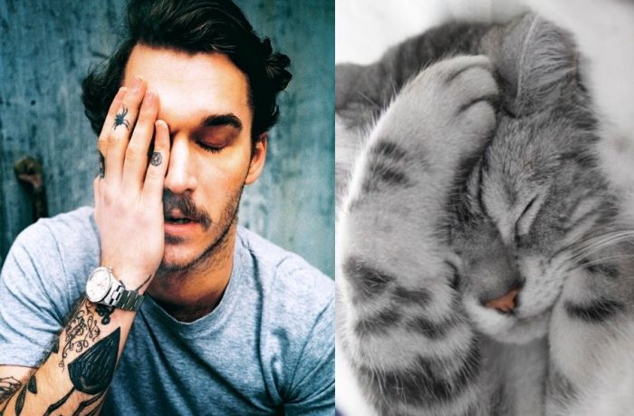 Hot Men And Their Feline Counterparts (67 pics)