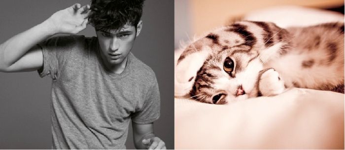 Hot Men And Their Feline Counterparts (67 pics)