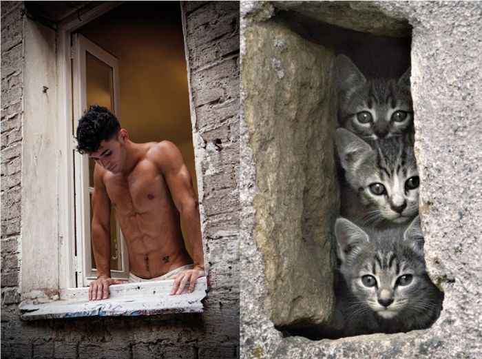 Hot Men And Their Feline Counterparts (67 pics)