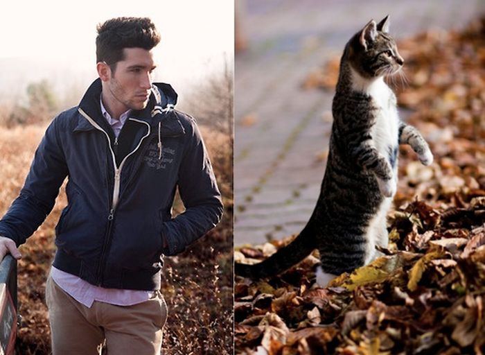 Hot Men And Their Feline Counterparts (67 pics)