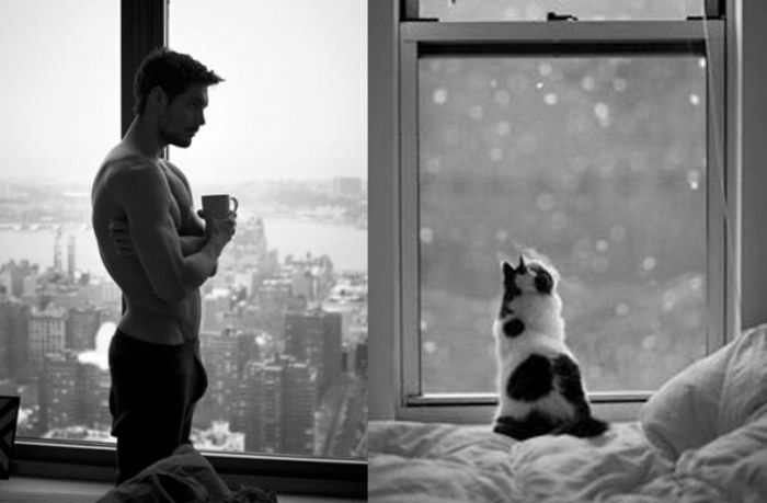 Hot Men And Their Feline Counterparts (67 pics)