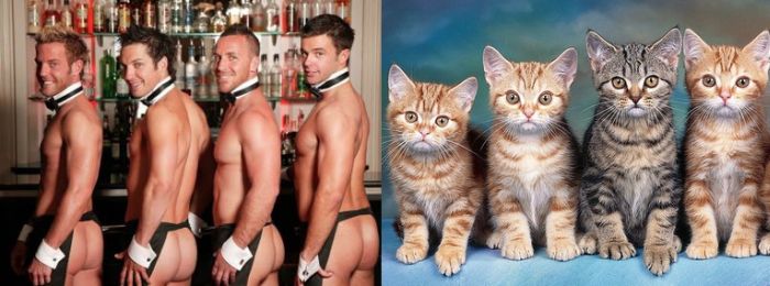 Hot Men And Their Feline Counterparts (67 pics)