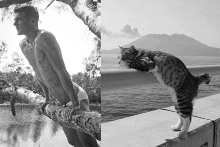 Hot Men And Their Feline Counterparts (67 pics)