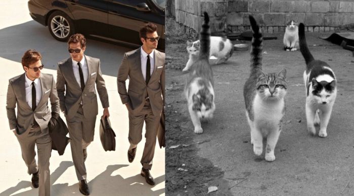 Hot Men And Their Feline Counterparts (67 pics)