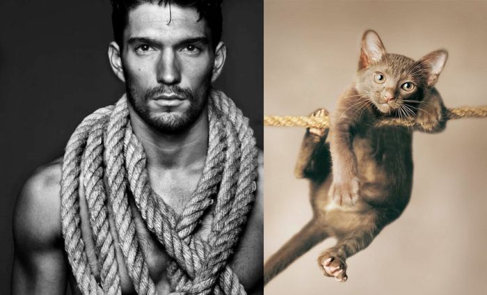 Hot Men And Their Feline Counterparts (67 pics)