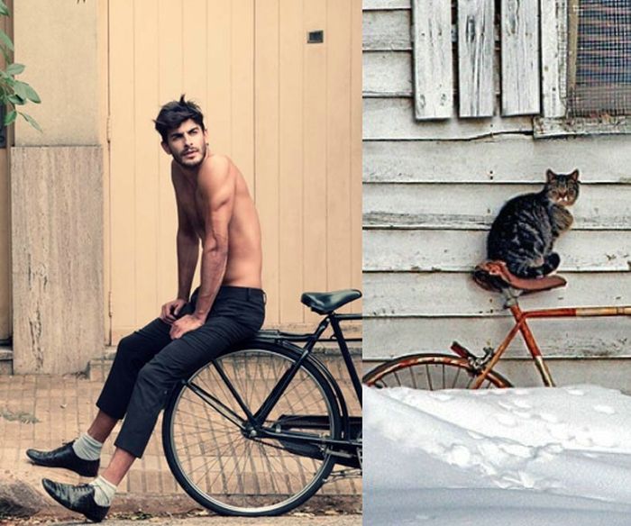 Hot Men And Their Feline Counterparts (67 pics)