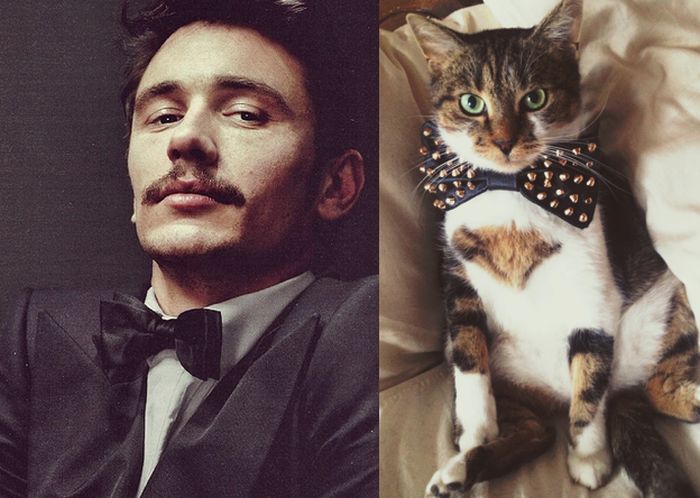 Hot Men And Their Feline Counterparts (67 pics)