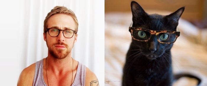 Hot Men And Their Feline Counterparts (67 pics)