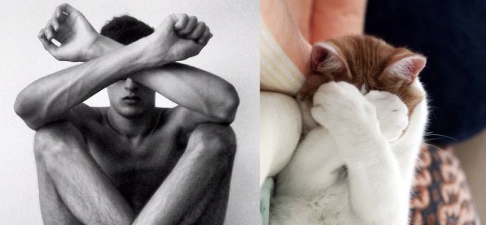 Hot Men And Their Feline Counterparts (67 pics)