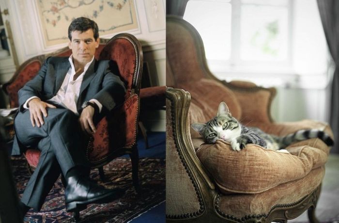 Hot Men And Their Feline Counterparts (67 pics)