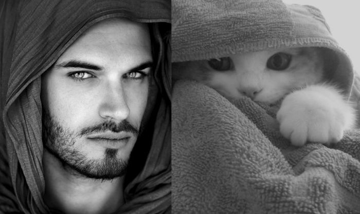 Hot Men And Their Feline Counterparts (67 pics)