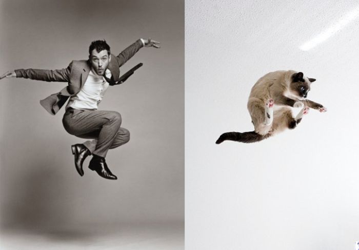 Hot Men And Their Feline Counterparts (67 pics)