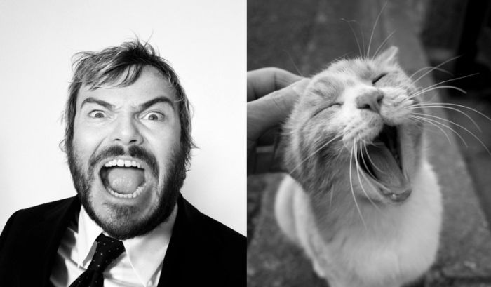 Hot Men And Their Feline Counterparts (67 pics)