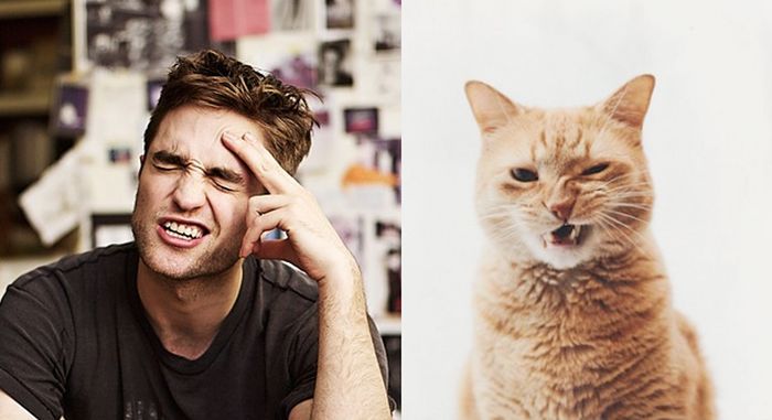 Hot Men And Their Feline Counterparts (67 pics)