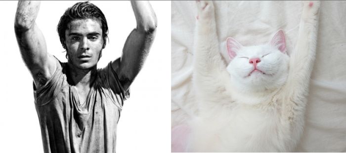 Hot Men And Their Feline Counterparts (67 pics)