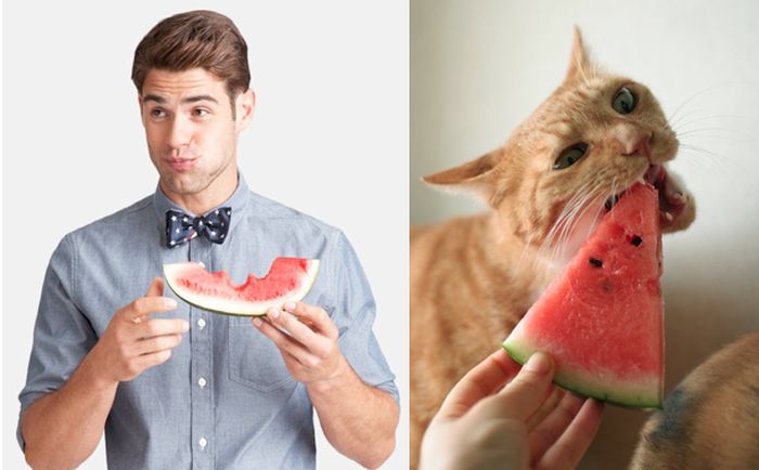 Hot Men And Their Feline Counterparts (67 pics)