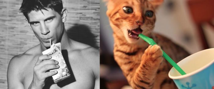 Hot Men And Their Feline Counterparts (67 pics)