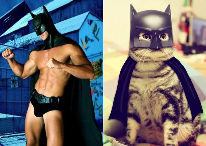 Hot Men And Their Feline Counterparts (67 pics)