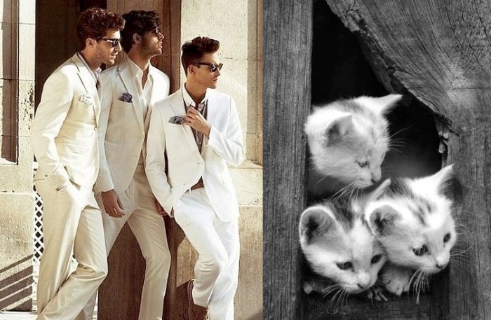 Hot Men And Their Feline Counterparts (67 pics)