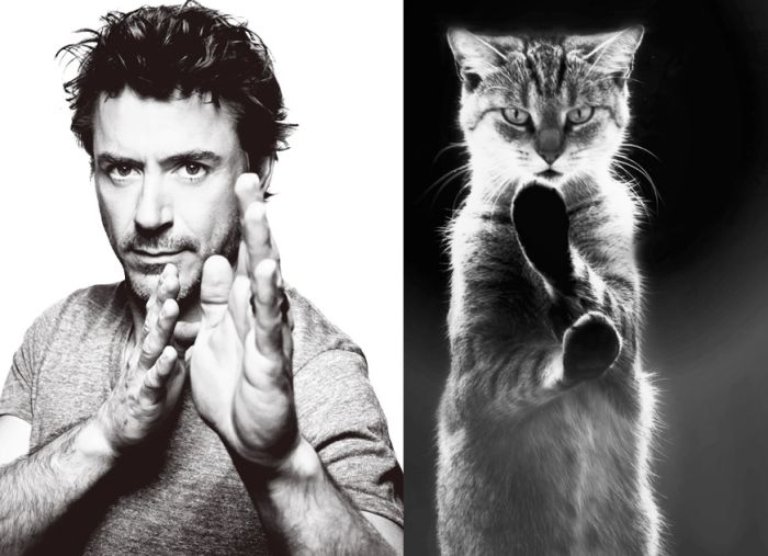 Hot Men And Their Feline Counterparts (67 pics)