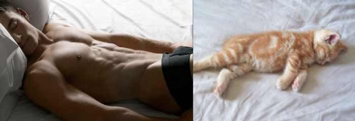 Hot Men And Their Feline Counterparts (67 pics)