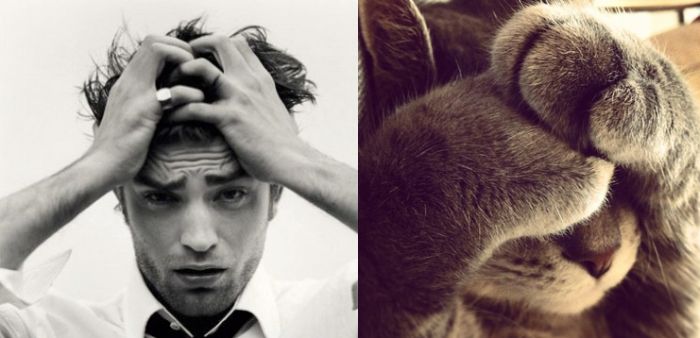 Hot Men And Their Feline Counterparts (67 pics)